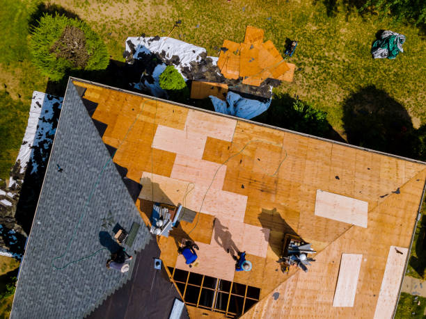 Best Emergency Roof Repair  in Thomasville, AL