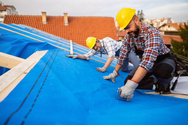 Roof Gutter Cleaning in Thomasville, AL